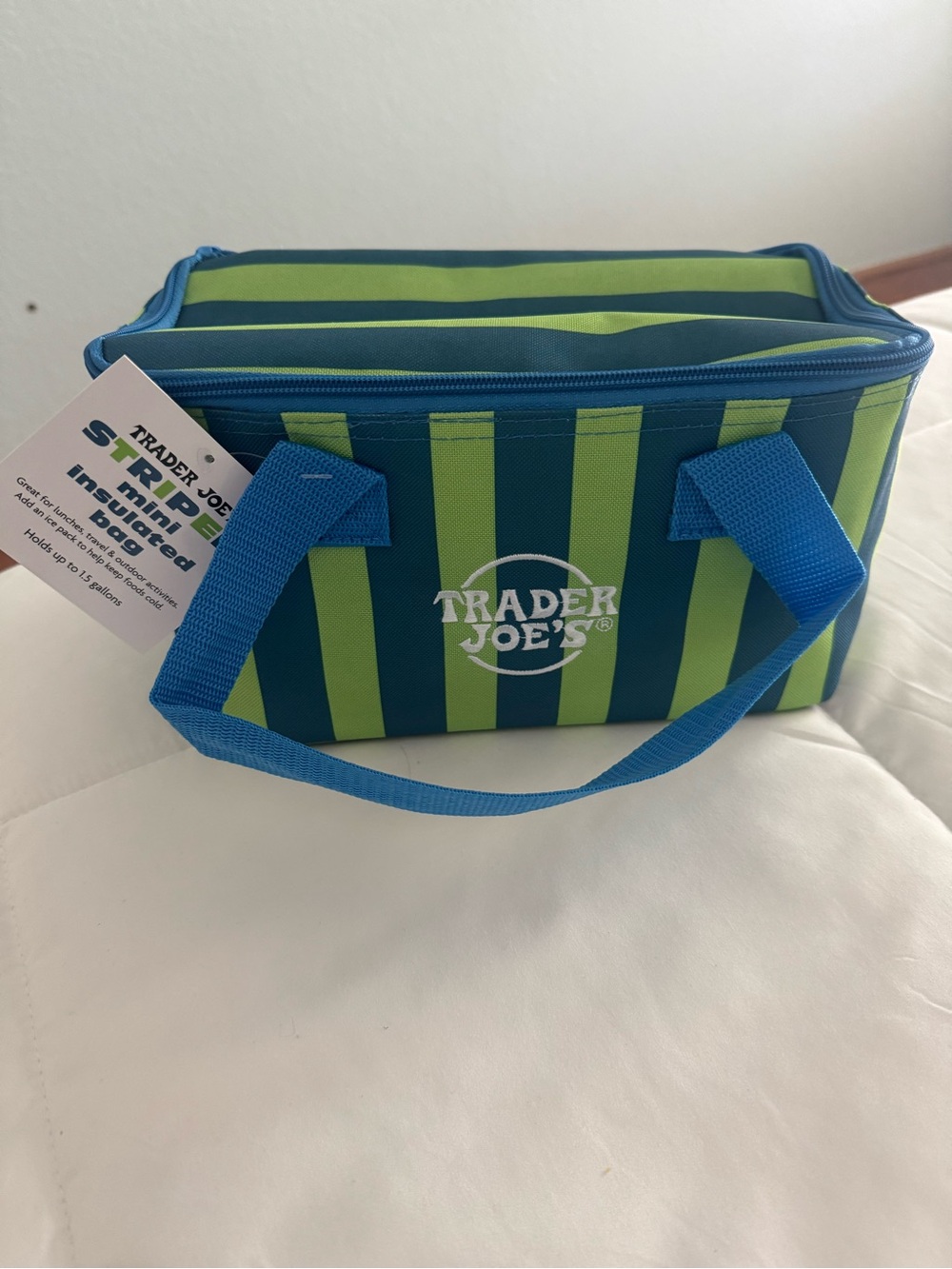Trader Joe's Green & Blue Striped Minu Insulated Cooler Bag Summer 2026